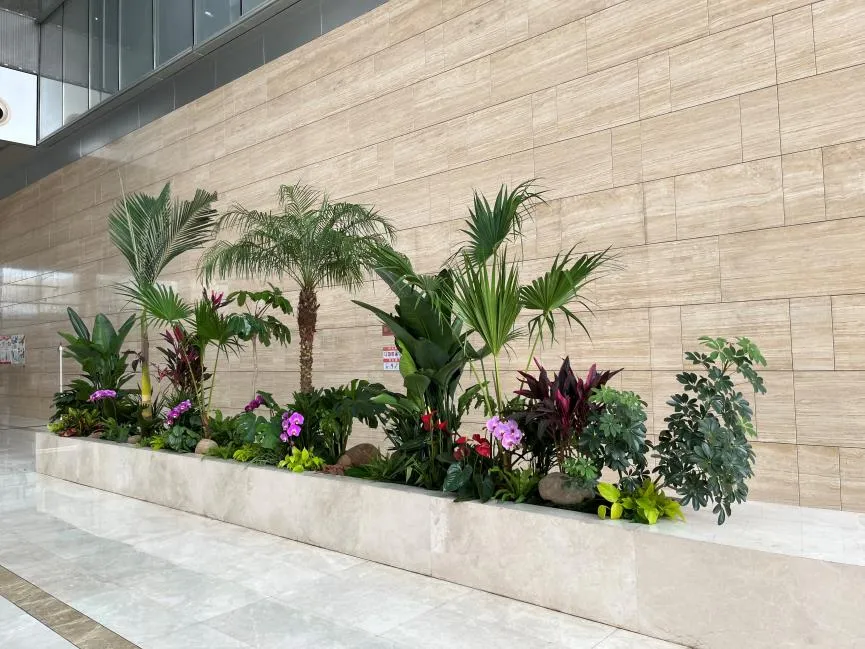 探寻宁波前湾专业植物出租，装点别样世界